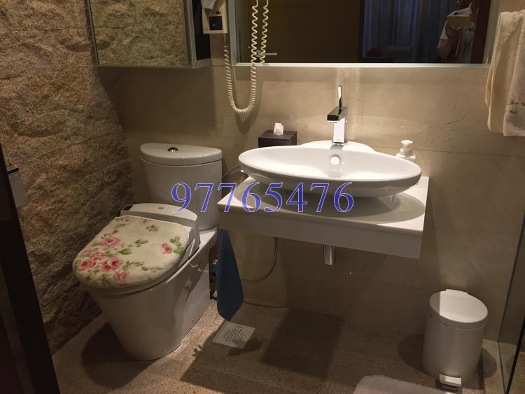 Ris Grandeur (D18), Condominium #152337402